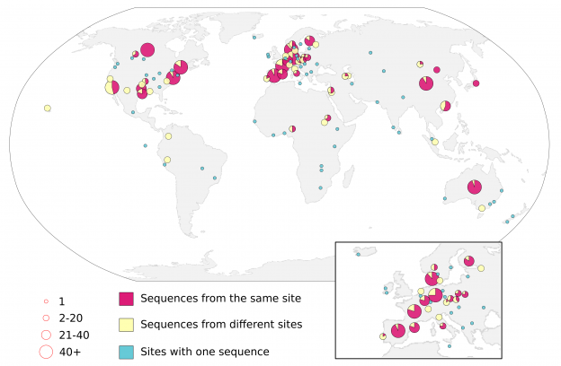 Global Distribution of Crassphage Map